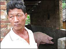 Quan chức Trung Quốc bị cách chức vì bệnh tai xanh ở lợn 